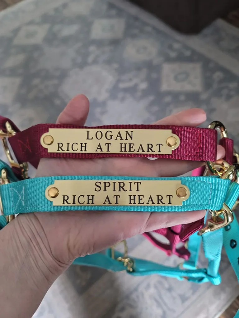 Logan and Spirit halter name plates