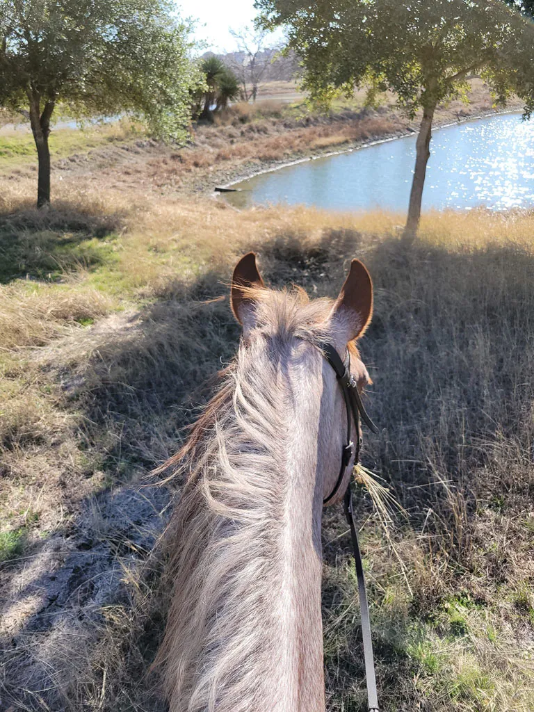 Trail ride through the Texas countryside
